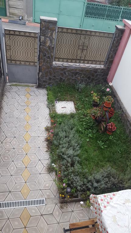 Haţeg Casa Leo 아파트 외부 사진