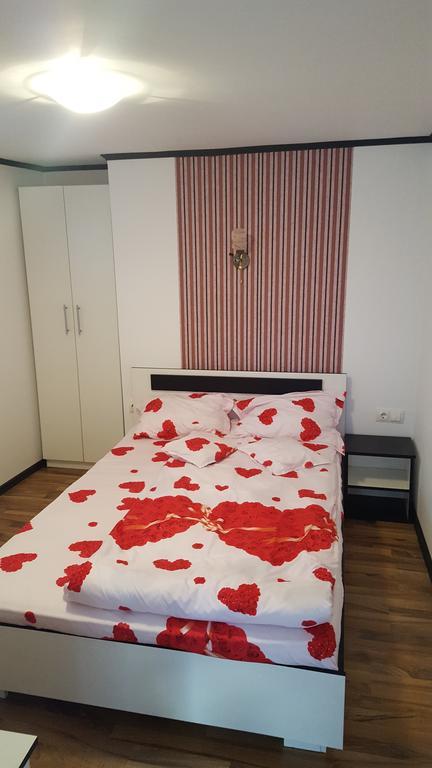 Haţeg Casa Leo 아파트 외부 사진
